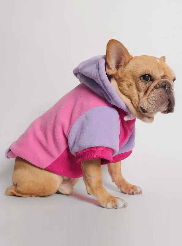 Ferris Dog Hoodie