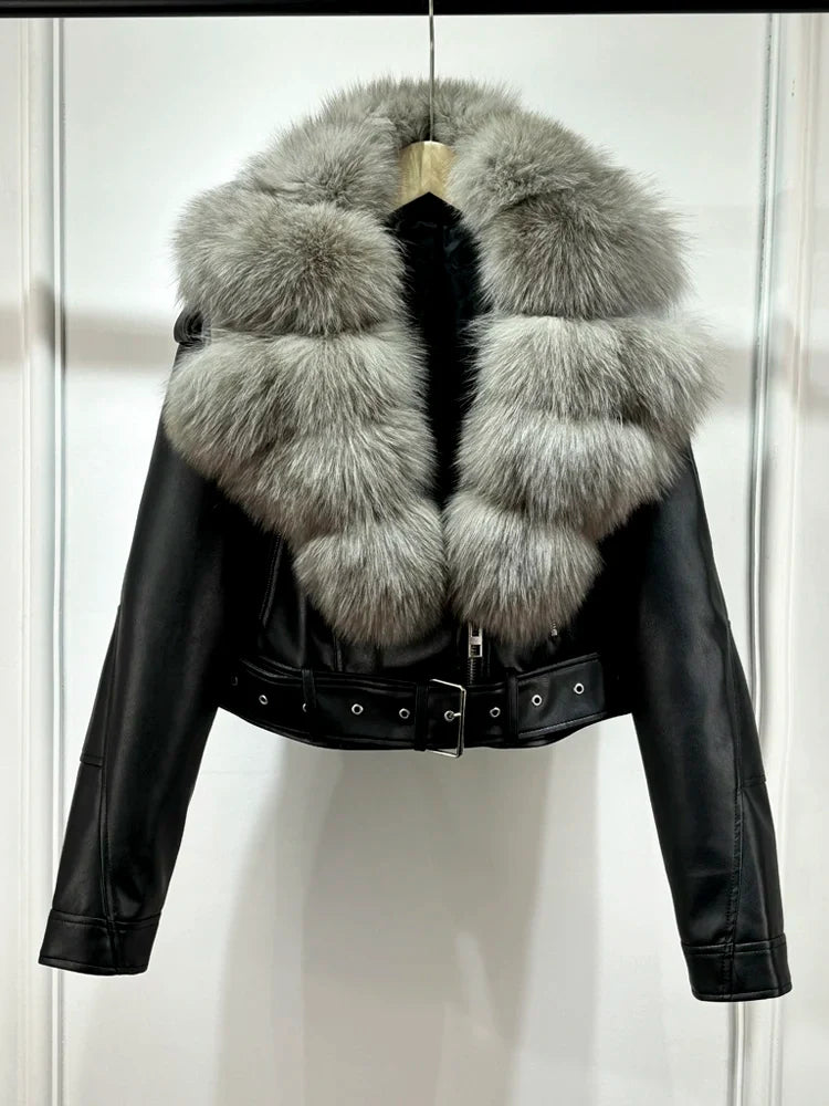 Black Coat Gray Fur