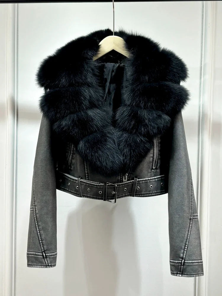 Gray Coat Black Fur